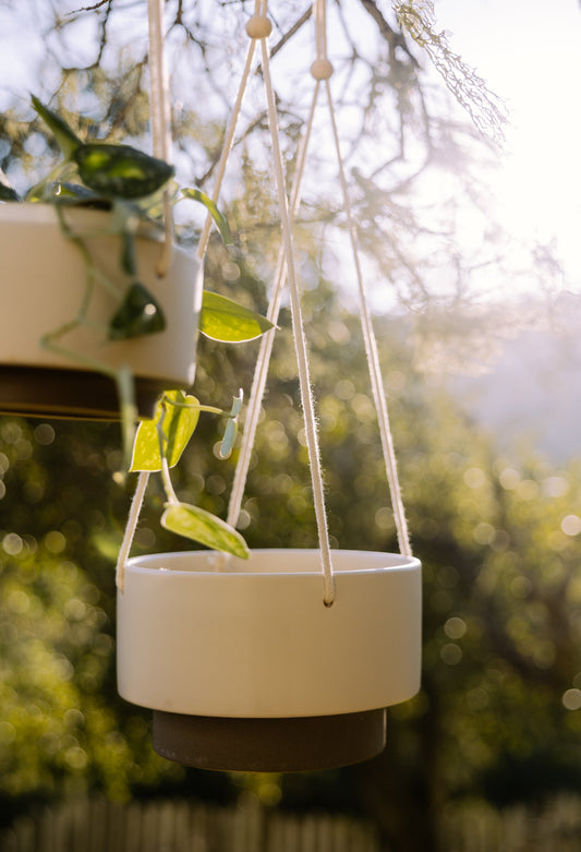 Hanging Planter: White & Espresso- 8"