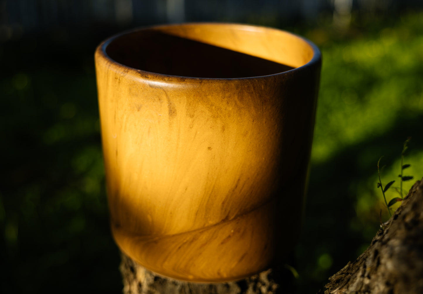 Classic Cylinder: Mystic Wood- 8"